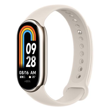 Xiaomi Smart Band 9 Titan Gray