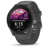 Garmin Forerunner 255 Slate Gray