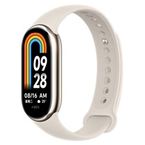 Xiaomi Smart Band 9 Titan Gray