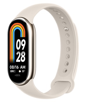 Xiaomi Smart Band 9 Titan Gray