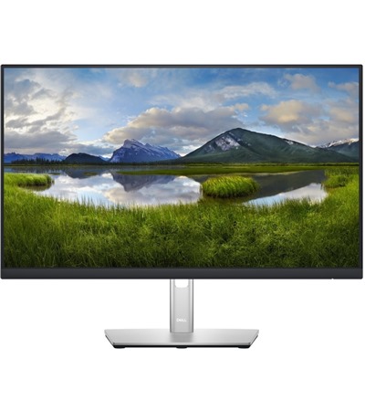 Dell P2422HE 24