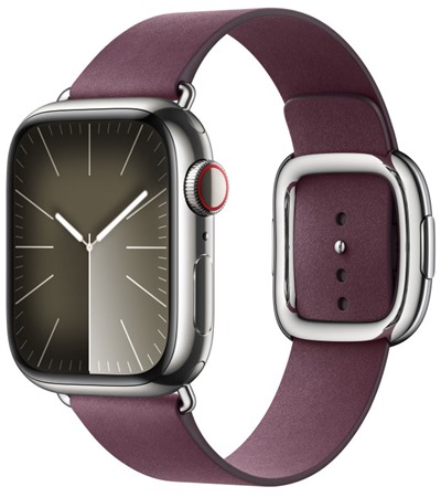 Apple Modern Buckle emnek s magnetickou pezkou pro Apple Watch 38 / 40 / 41mm Mulberry L