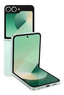 Samsung Galaxy Z Flip6 5G 12GB / 256GB Dual SIM Mint (SM-F741BLGGEUE)