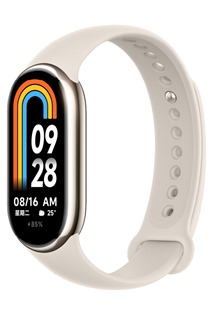 Xiaomi Smart Band 9 Titan Gray